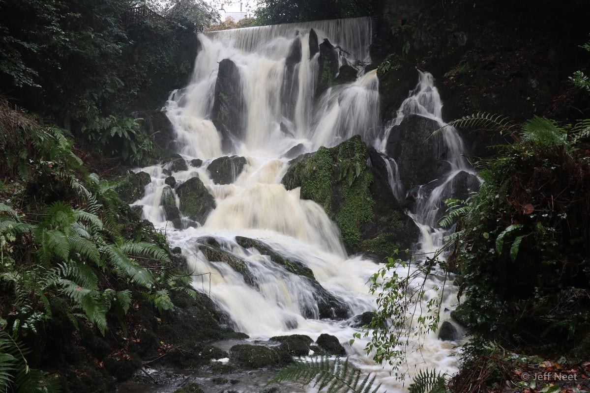 A broad waterfall pours white and foamy over dark boulders, framed by ferns and dense green forest.