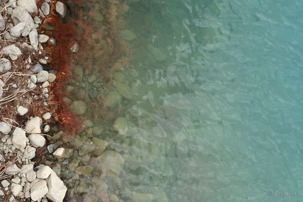 Clear turquoise water fades over pale wet pebbles and rocks, with a red-brown seaweed edge along the shore.