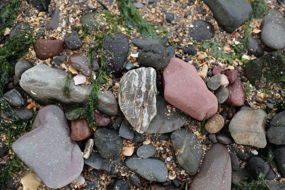 A pale striped stone rests among grey and reddish pebbles on wet sand.