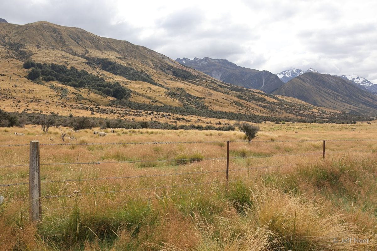 A weathered wire fence runs across golden tussock toward a valley of brown mountains under a cloudy sky.