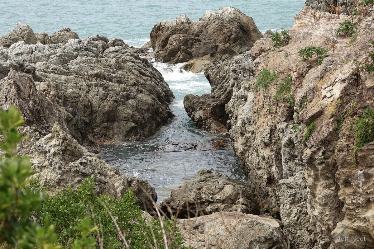 Grey rocks and a narrow inlet of churning sea water channel between cliffs, with green shrubs along the top edge.