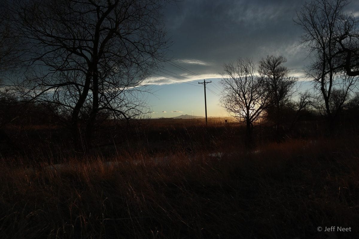 Bare trees, a utility pole and dark grass stand silhouetted against a dusky blue and orange sunset sky.