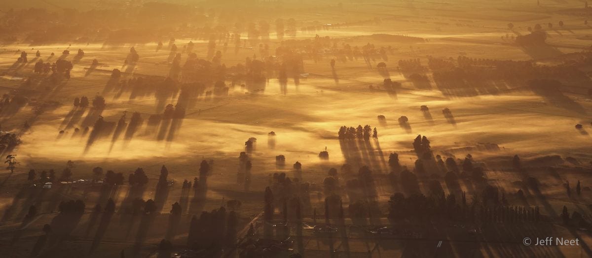 Low mist hangs over a flat golden plain at sunrise, with tree rows and their long shadows across the ground.