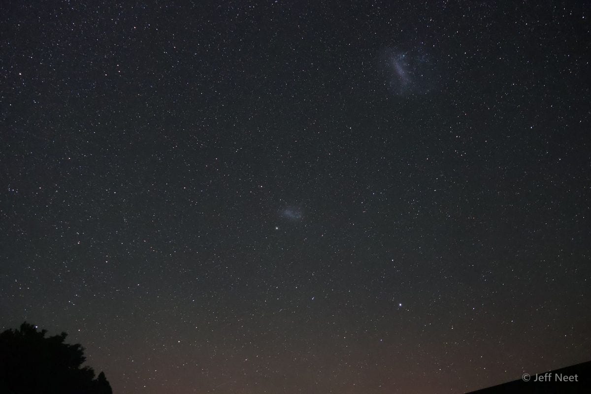 Dark night sky full of stars, with two faint glowing patches of light and a tree silhouette at lower left.