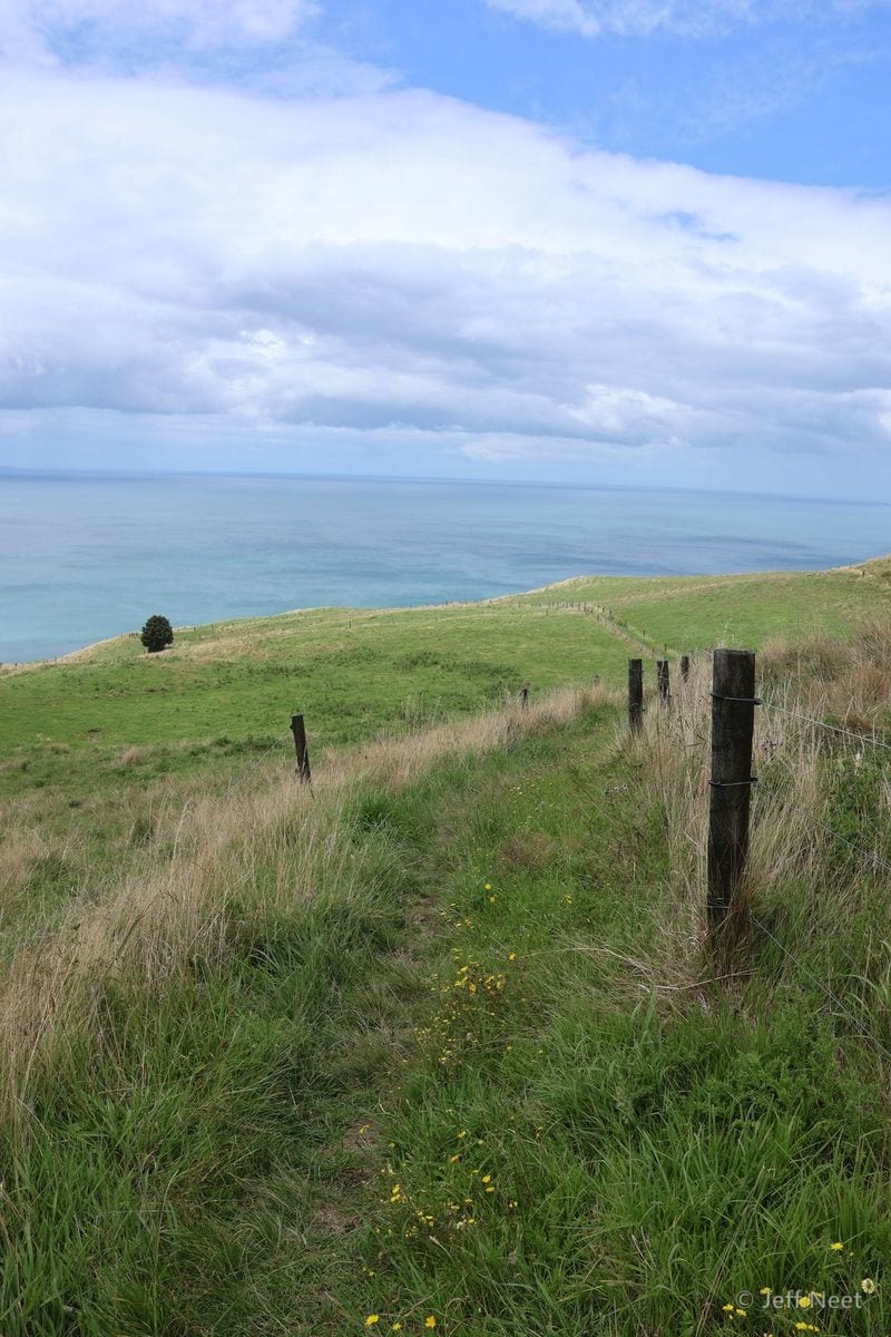 A wire fence and worn grass track run toward the sea across a green hillside under a cloudy sky.