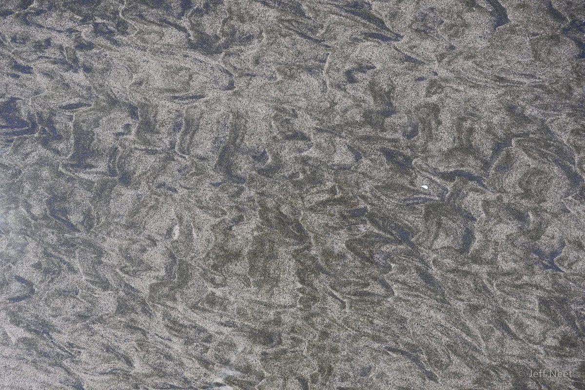 Wet grey sand is marked with swirling blue-grey ripple lines and pale flecks.