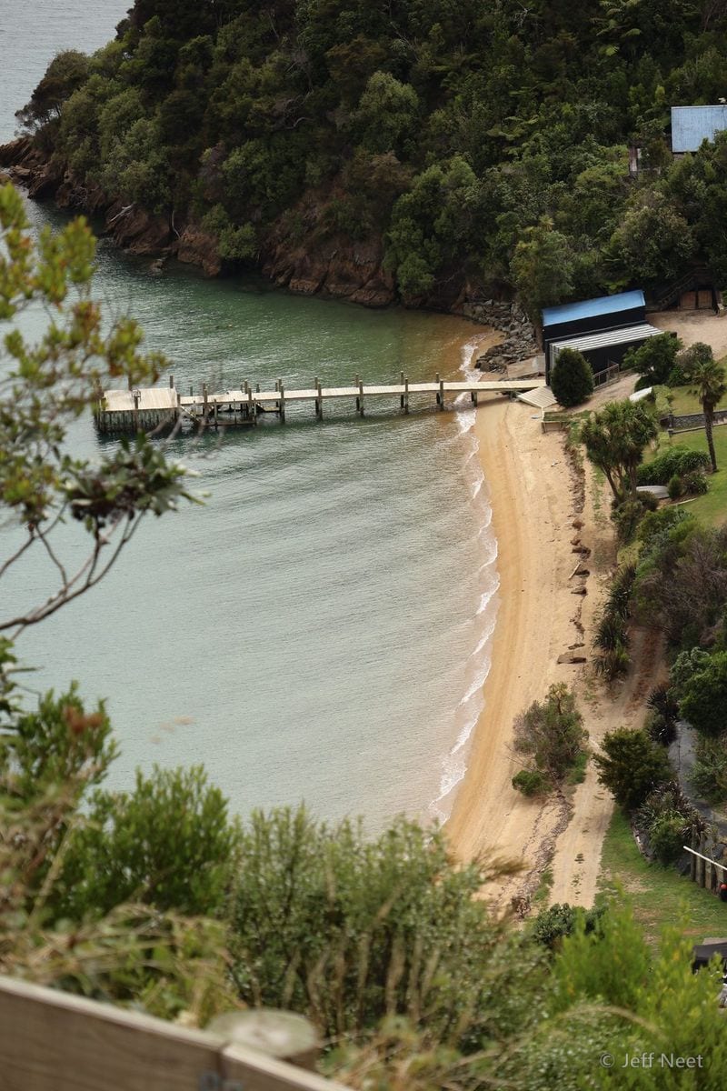 Above a green cove, a timber jetty reaches into calm turquoise water beside a small blue-roofed shed and pale sand.
