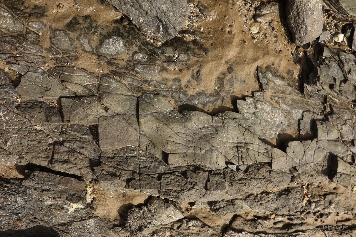 Layered grey rock shelf cracked into angular plates, with brown sand and grit along its top.